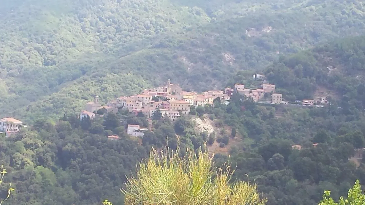 La Casalina Dell'Elba Apartment Marciana